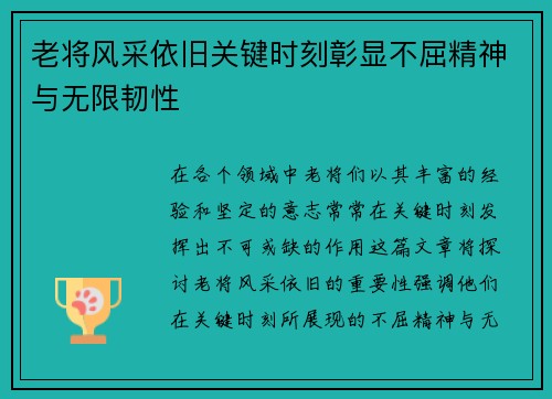 老将风采依旧关键时刻彰显不屈精神与无限韧性