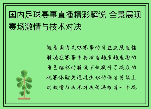 国内足球赛事直播精彩解说 全景展现赛场激情与技术对决